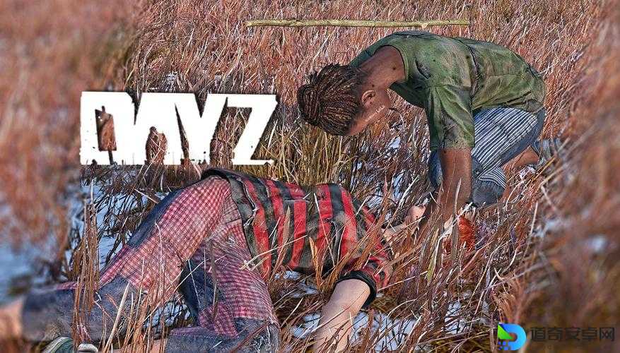 DyZ独立版中毒必看！速救攻略+生存技巧大公开