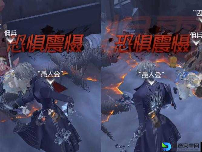 暴击率暴跌的真相？佣兵之王幸运佩妮的隐藏危机实测