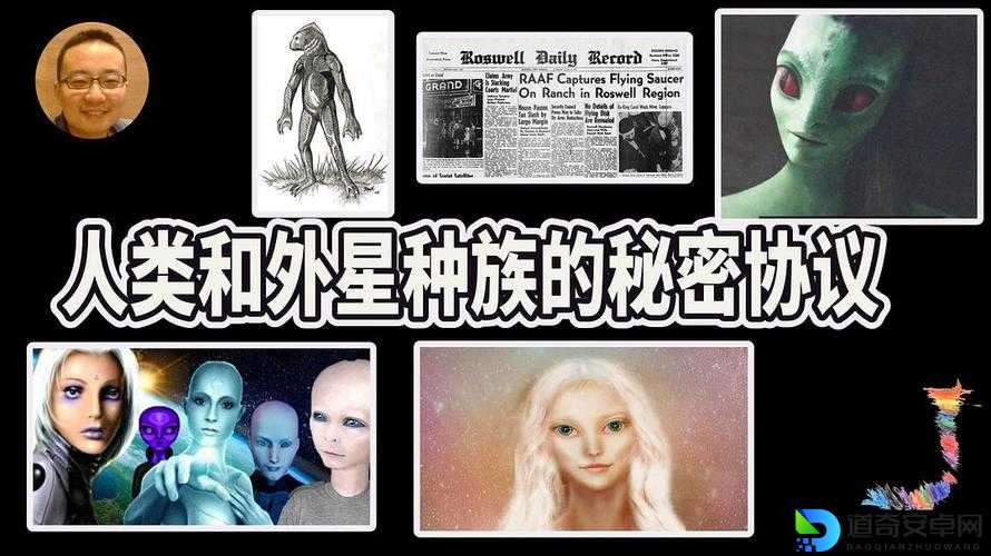 秘密档案4通关必看！爆肝整理全剧情彩蛋+隐藏路线+零翻车攻略