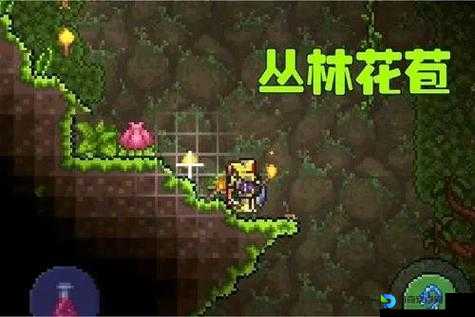 泰拉瑞亚世纪之花通关绝密！手残党5分钟速通攻略大公开
