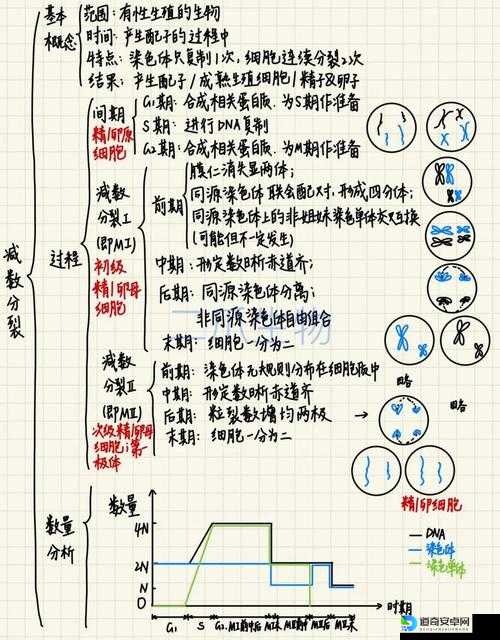 细胞分裂6主线通关绝密技巧！看完这10招直接抄近道