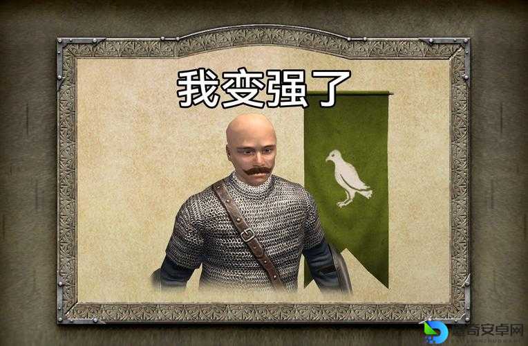 骑马与砍杀钢盾有多香？教你玩转战场小战神！
