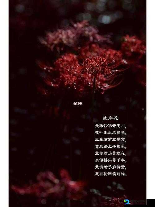 爆哭推荐！冥界之花第一章隐藏剧情+零失误打法全公开