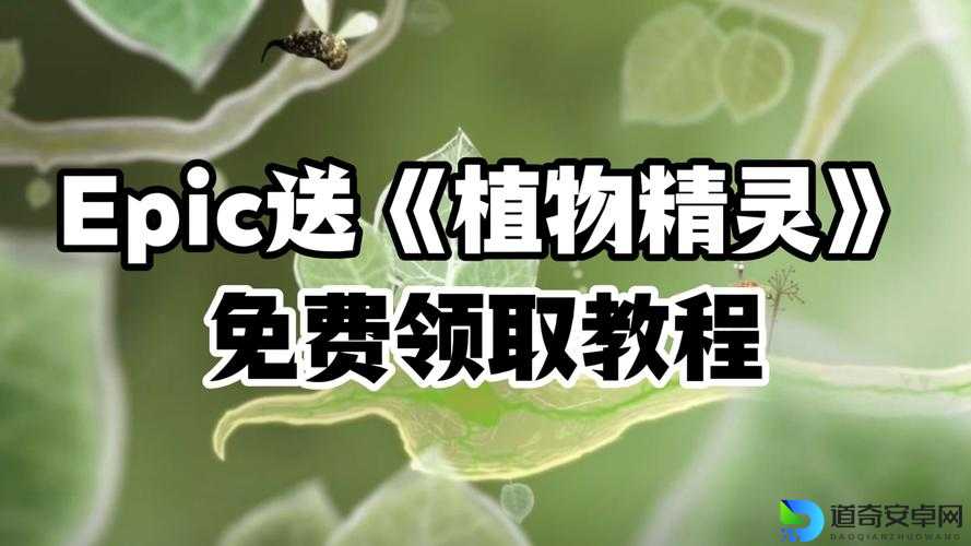 植物精灵5把钥匙必拿攻略！隐藏任务+合成配方全公开