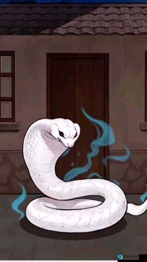 仙蛇传报错崩溃！这些隐藏解决办法你试过吗？