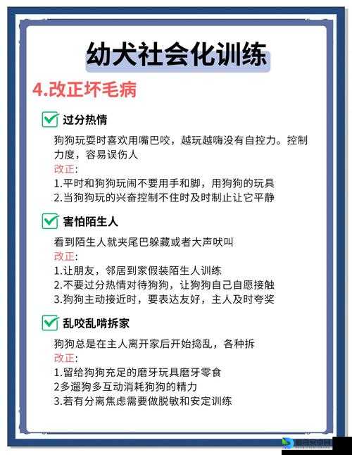 必看！阿猫阿狗2超全通关秘籍，手残党也能轻松登顶！