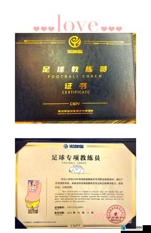 FIFA13教练不续约？这份保姆级攻略让你瞬间拿下王牌教练！