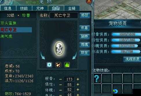 九天仙梦金翅获取全攻略！三招教你轻松点亮神翼