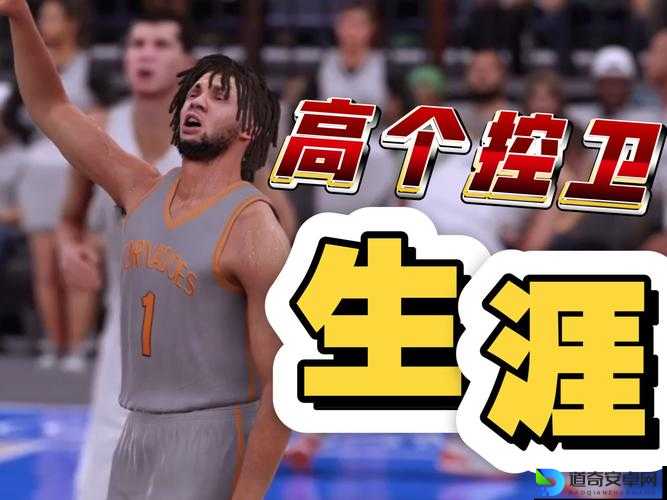 新手秒变大神！NBA2K13控制技巧全公开，这操作直接封神！