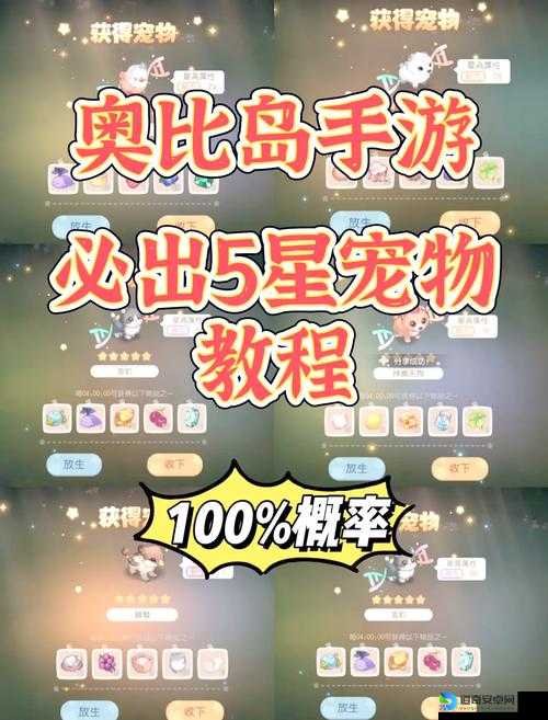 零失败！奥比岛梦想国度宠物捕捉绝密技巧大公开