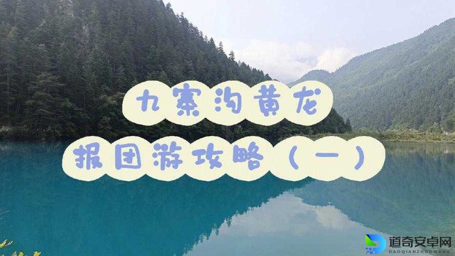 最强攻略！黄龙护卫实战技巧+隐藏机制大公开