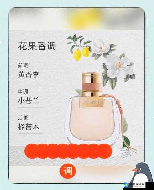 手残党必看！花与香水与猫调香考试通关绝招大公开