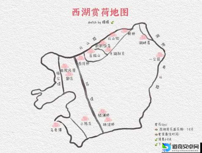 徽杭古道荷花藏哪儿？手把手教你秒变江南百景图拍照达人！