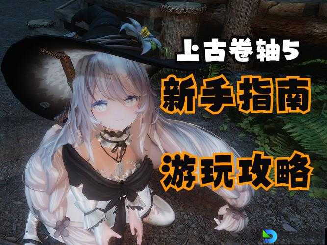 上古卷轴5同伴全攻略！选错直接卡关！血泪总结必看
