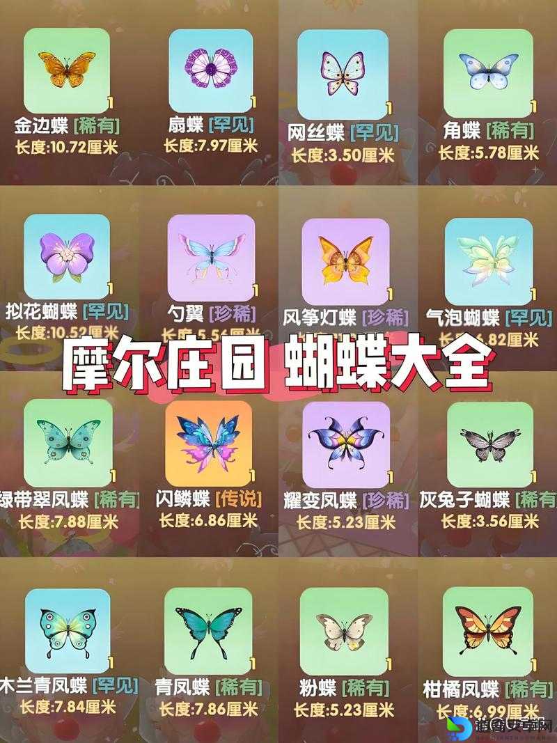 摩尔庄园117神奇密码速领！超全兑换攻略速存，福利拿到手软！