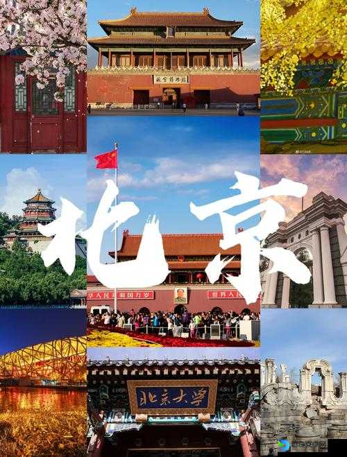 三位一体2第一关卡关必看！手把手教你10分钟速通保姆级攻略