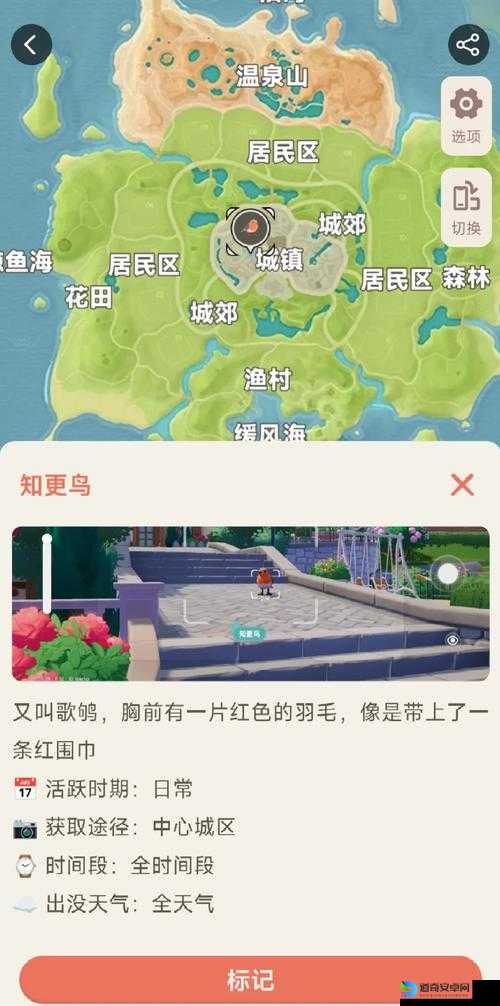 心动小镇绝美鸟类捕捉点大公开！这份宝藏清单让你一键心动～