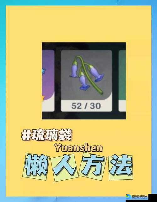 原神便携营养袋竟有这些神用！旅行者速来领攻略