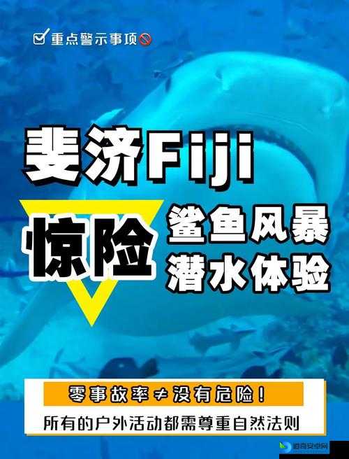 阿帕奇：空中突击必看！水中鲨零失误通关秘籍大公开