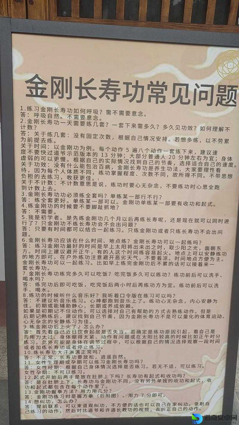 金庸无双武功自由度绝了！闭关修炼3天总结5大逆天搭配技巧