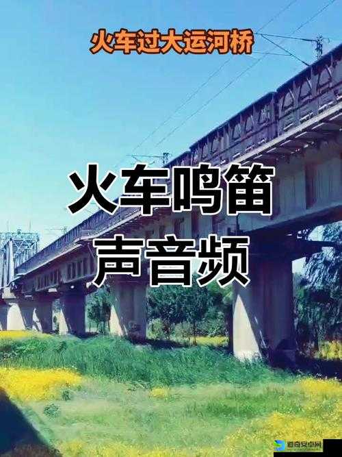 当火车鸣笛三秒第三章通关必看！90%新人卡死的3个致命错误