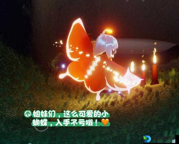 光遇77复刻刻内秀书虫先祖位置绝了！跑图路线+绝版动作全解析